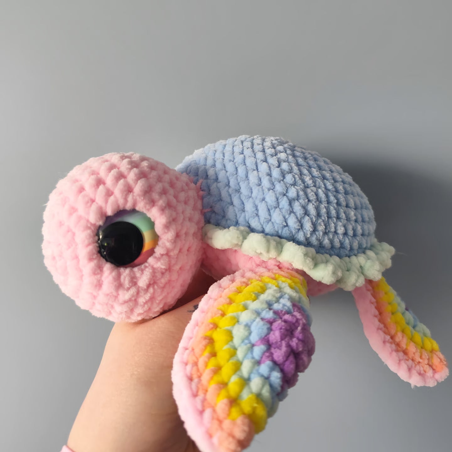 Regenbogen Schildkröte (Sofortkauf)